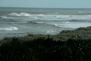 _MG_9326
