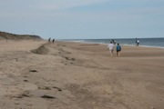 12_Cape_Cod - 50