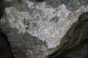 MacLeish - 09