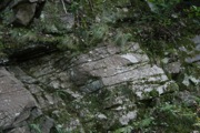 IMG_8440
