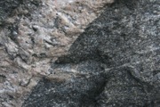 12_Quabbin_Day - 06