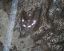 footprint3.jpg