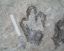 footprint4.jpg