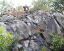 outcrop2a.jpg