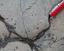outcrop2b.jpg