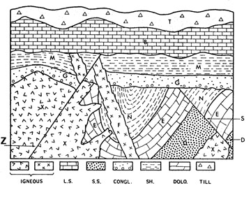 section