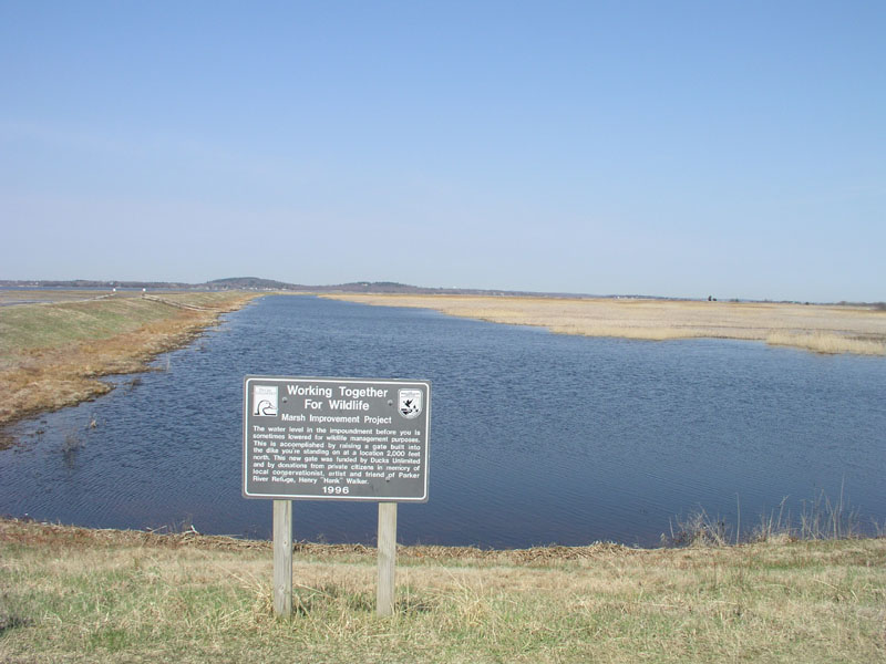 PlumIsland_trip_2004 002