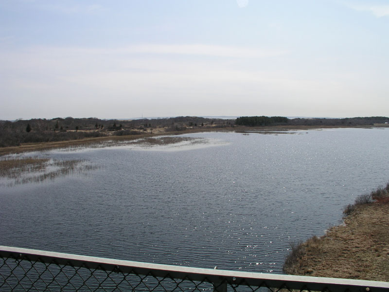 PlumIsland_trip_2004 004