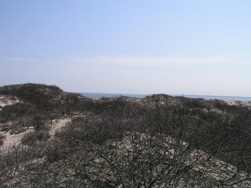 PlumIsland_trip_2004 007