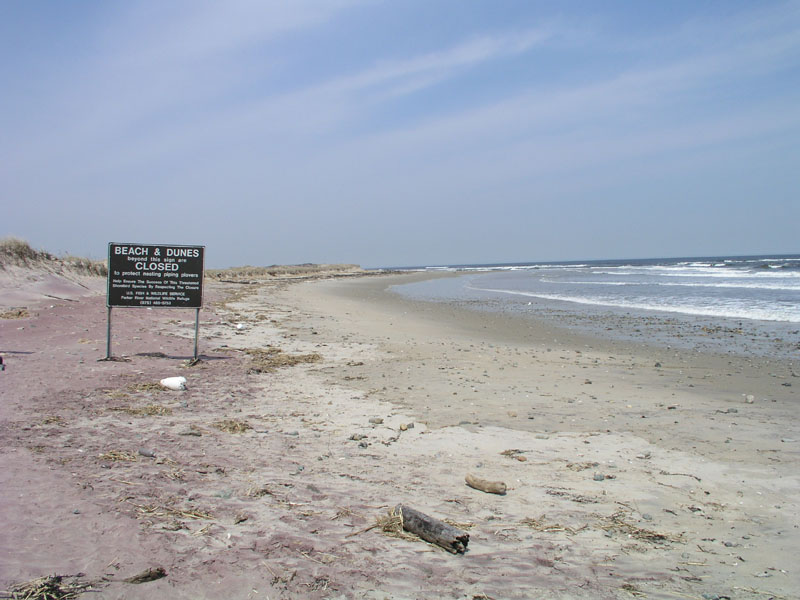 PlumIsland_trip_2004 010