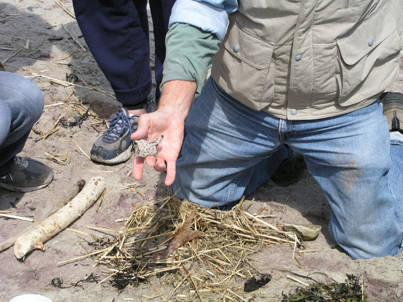 PlumIsland_trip_2004 018