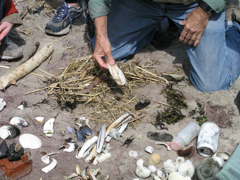 PlumIsland_trip_2004 022