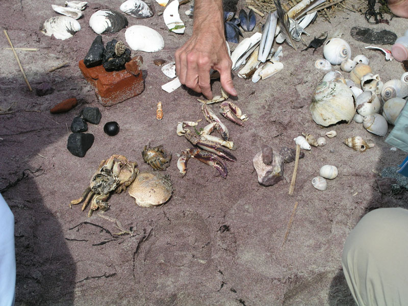 PlumIsland_trip_2004 027