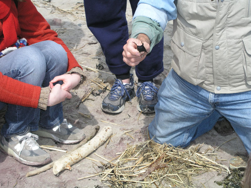 PlumIsland_trip_2004 028