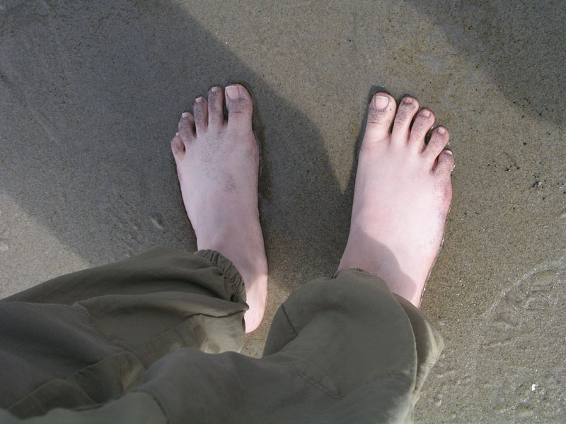 PlumIsland_trip_2004 036