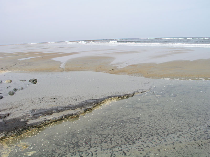 PlumIsland_trip_2004 039