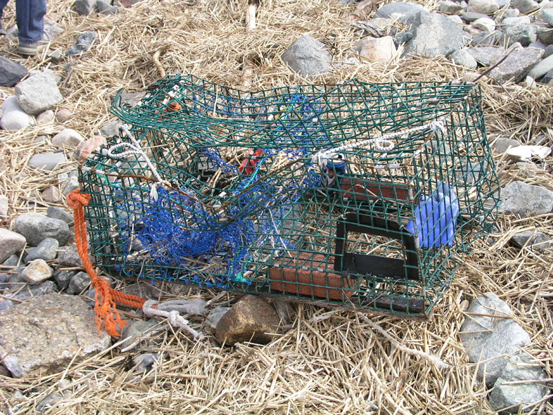 PlumIsland_trip_2004 042