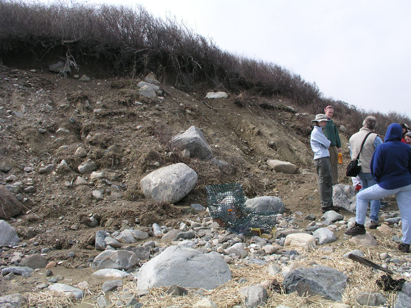 PlumIsland_trip_2004 043