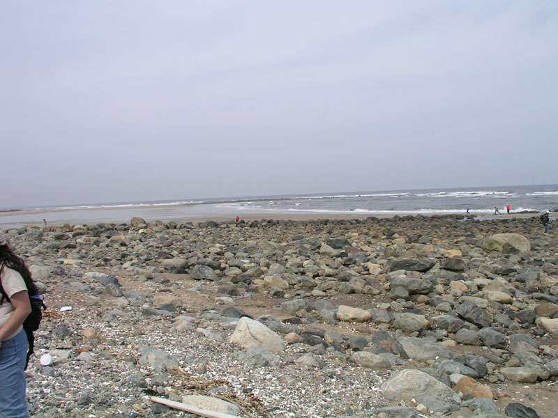 PlumIsland_trip_2004 044