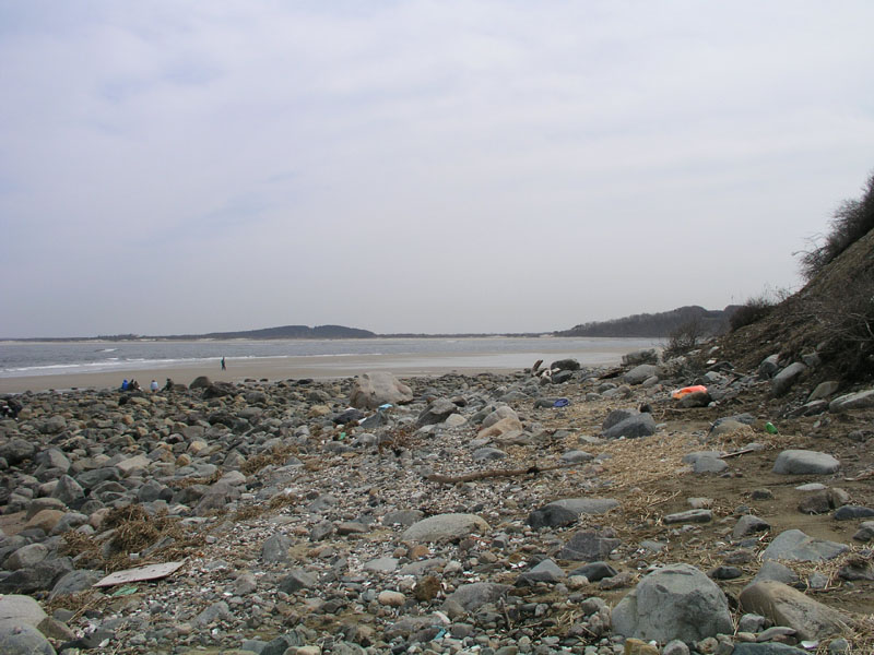 PlumIsland_trip_2004 045