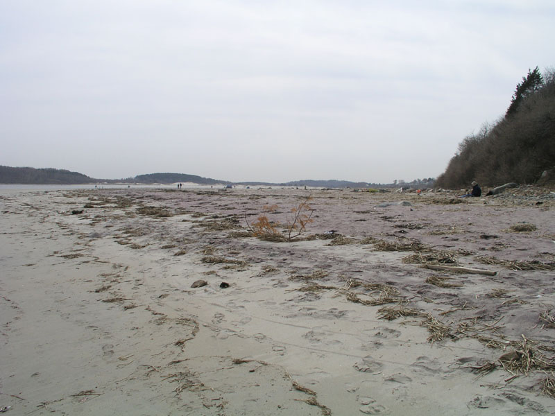 PlumIsland_trip_2004 046