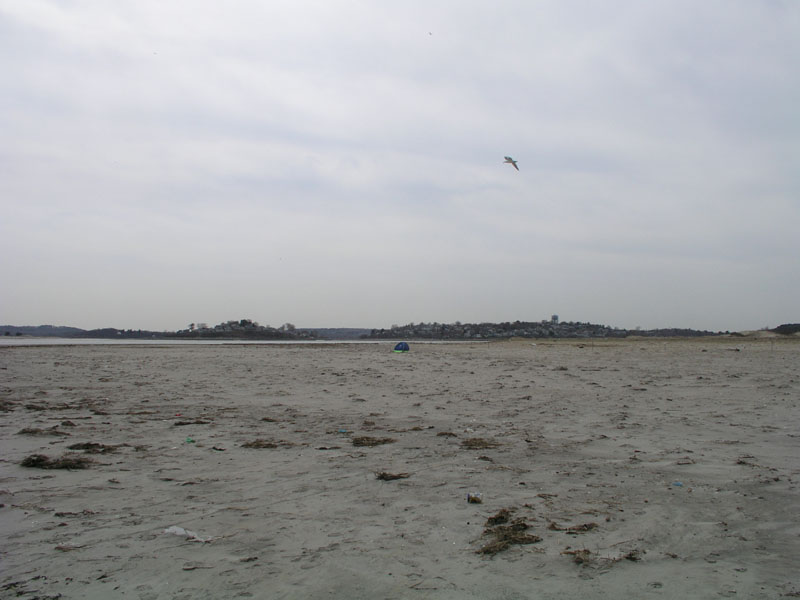 PlumIsland_trip_2004 047