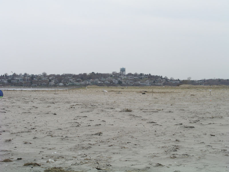 PlumIsland_trip_2004 048