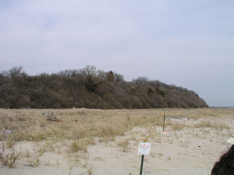 PlumIsland_trip_2004 049