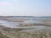 PlumIsland_trip_2004 005