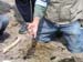 PlumIsland_trip_2004 018