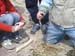 PlumIsland_trip_2004 028