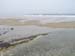 PlumIsland_trip_2004 039