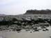 PlumIsland_trip_2004 041