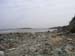 PlumIsland_trip_2004 045