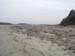 PlumIsland_trip_2004 046