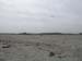 PlumIsland_trip_2004 047