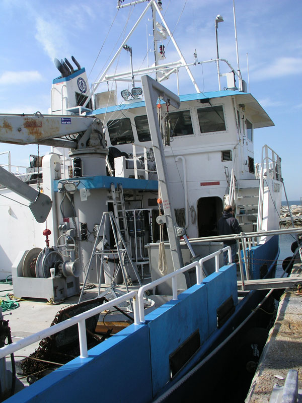 RVConncruz_2004_002