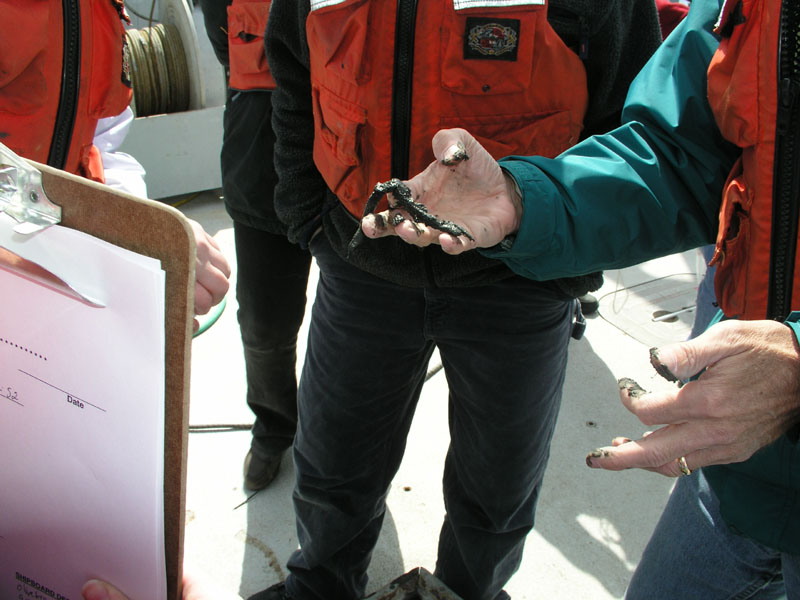 RVConncruz_2004_034
