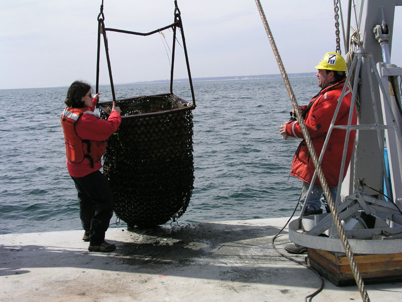 RVConncruz_2004_045