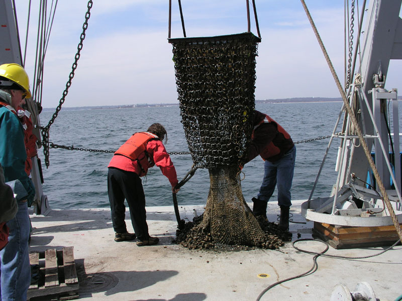 RVConncruz_2004_047