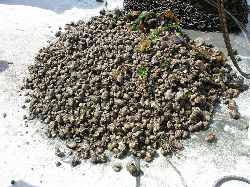 RVConncruz_2004_050