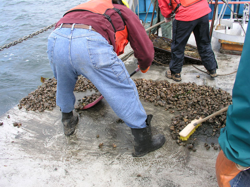 RVConncruz_2004_061