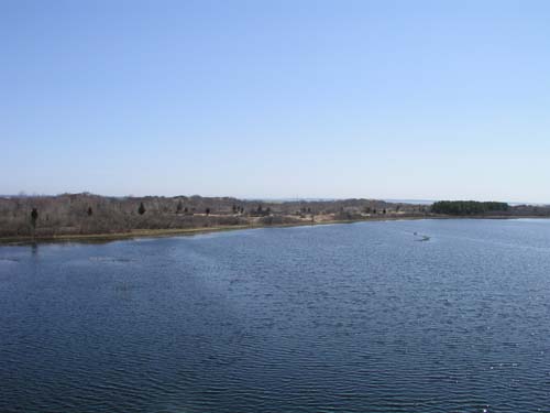 Plum_Island_06