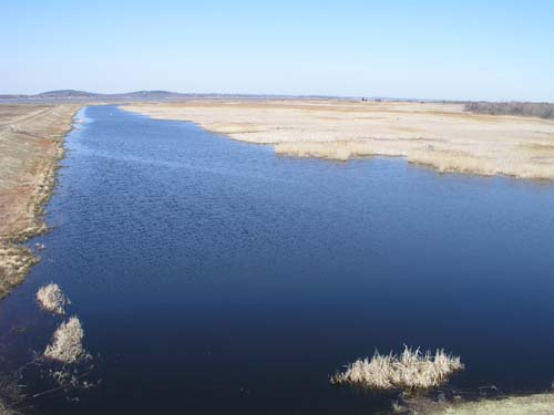 Plum_Island_07