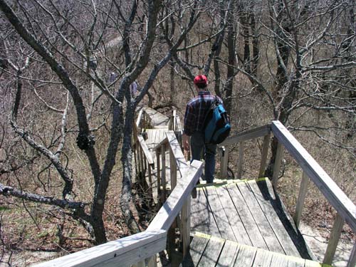 Plum_Island_14