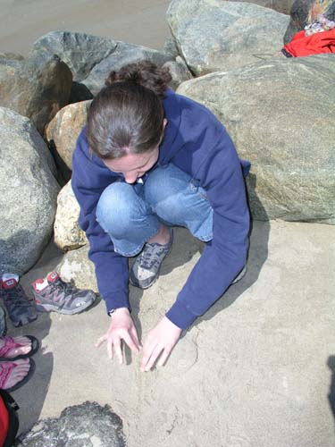 Plum_Island_31