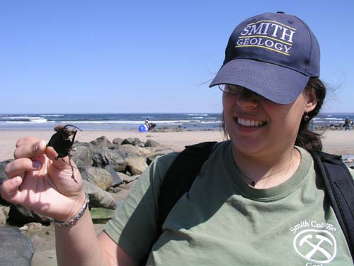 Plum_Island_32