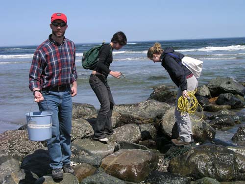 Plum_Island_35