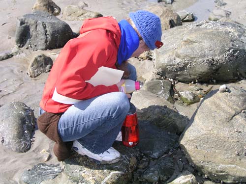 Plum_Island_39