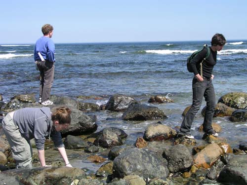 Plum_Island_41